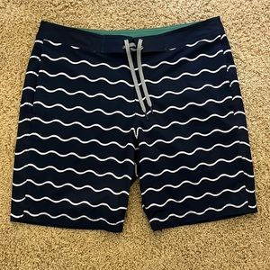 Gap mens large swim trunks